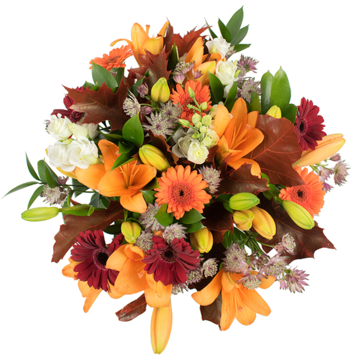 A richly textured, elevated view of a seasonal bouquet designed with autumn's palette in mind, photographed against a pure white background so every botanical detail is visible. Dominant orange Asiatic lilies open fully, their trumpet-like forms creating dramatic focal points, while numerous green and pale-orange lily buds promise ongoing bloom. Bright orange Gerbera daisies alternate with deep burgundy Gerberas to create lively contrast and a sunburst rhythm, and creamy white lisianthus provide soft, ruffled relief that makes the stronger tones sing. Scattered throughout are delicate starry clusters of purple-grey Astrantia that introduce fine, airy texture and lift the composition. Large, warm reddish-brown leaves-reminiscent of oak or chestnut-are artfully placed to read as autumn foliage, complemented by crisp green leaves and slender stems that add structure and freshness. The bouquet is tightly gathered, lush and impeccably fresh, its surface a tapestry of satiny petals, brittle leaf edges and tender buds; under bright, even light the colours pop with a comforting glow. As a local florist in South Norwood, Flowers South Norwood would offer this arrangement for seasonal gifting, Thanksgiving centrepieces or harvest décor, with careful attention to balance and longevity. Imagine this piece brightening a dining table near South Norwood Lake & Grounds or arriving on a neighbour's doorstep as a heartfelt autumn message-warm, grounded and beautifully hand-crafted.