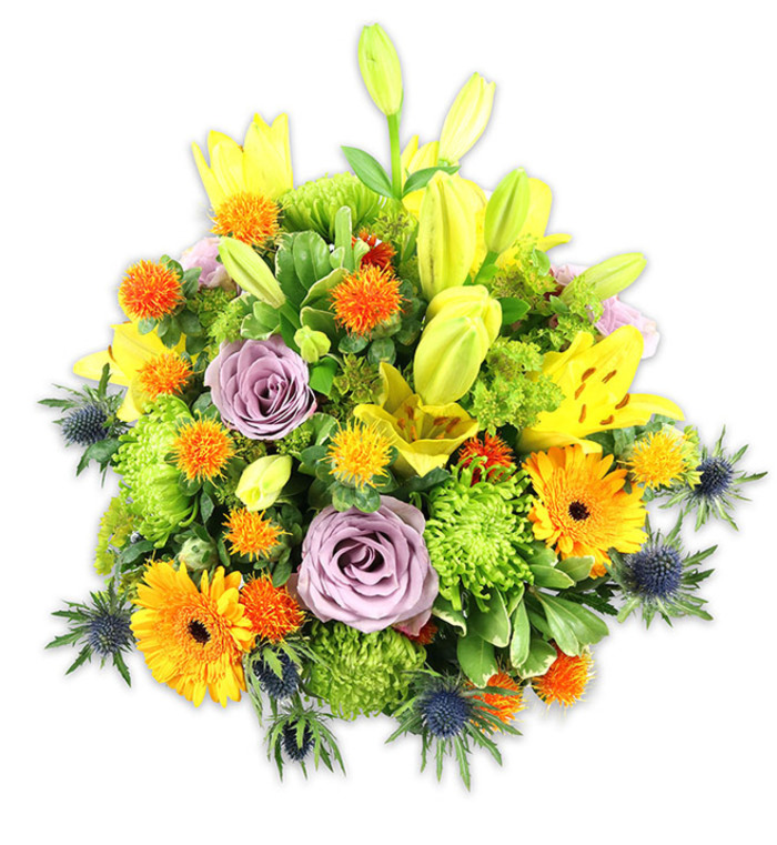 A meticulously arranged, mound-shaped bouquet sits against a bright white field, every bloom chosen to contribute to a lively but balanced composition. Yellow Asiatic lilies give the piece upward movement; some are fully open with delicate speckling and visible stamens, while others remain elongated buds that create graceful vertical lines. Two or more lavender-purple roses are placed centrally, their soft, spiralling petals offering a cool, romantic counterpoint to the sunlit yellows and oranges. Large orange Gerberas, their flat, radiating petals surrounding darker central discs, rhythmically appear throughout the arrangement, bringing a cheerful, sunburst quality. Abundant lime-green button chrysanthemums provide voluminous texture, their tightly packed florets forming a plush green carpet that fills gaps and deepens the bouquet's lush feeling. Small round, spiky orange and golden-yellow accents-suggestive of Craspedia or similar globe-like flowers-dot the mass, introducing a whimsical, tactile element. Cool-toned blue-grey sea thistles, probably Eryngium, project from the lower and lateral edges with architectural, star-shaped bracts that offset the warm tones and add sculptural interest. Various green leaves, from broad lily blades to glossy filler foliage, weave through the arrangement and anchor it visually. The lighting is soft and even, highlighting petal texture and foliage sheen without dramatic shadows. As an experienced florist preparing flowers for clients around South Norwood and visitors from nearby Crystal Palace, one would recommend this composition for celebratory tables, heartfelt congratulations, or as an uplifting living-room display that reads both joyful and refined.