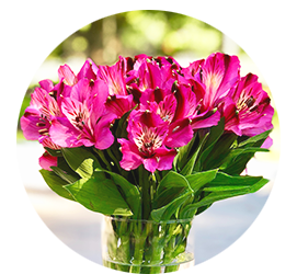 Same day Flowers 